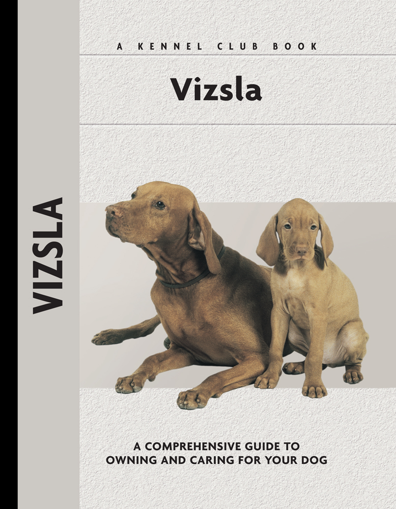 Vizsla Robert L White