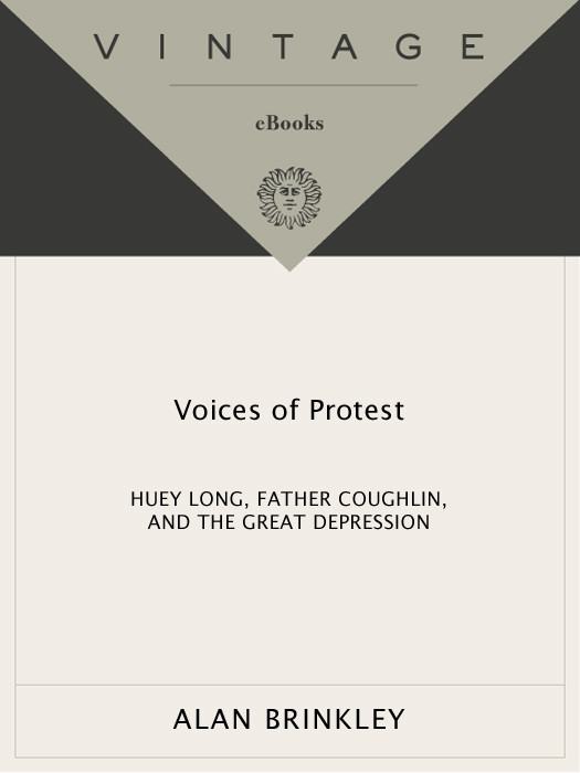 Voices Of Protest Alan Brinkley