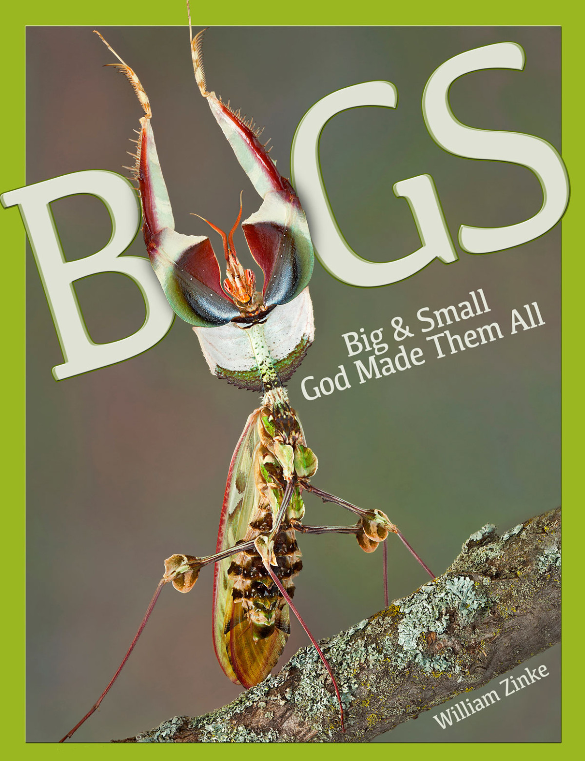 Bugs Big Small God Made Them All William Zinke
