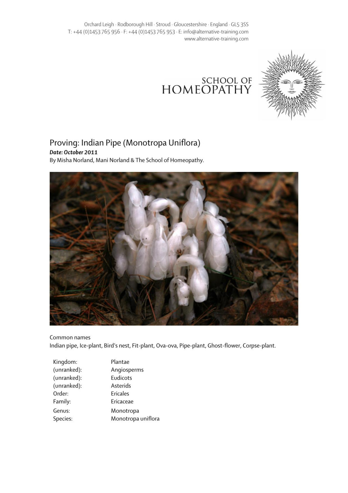Proving Indian Pipe Monotropa Uniflora Misha Norland Mani Norland