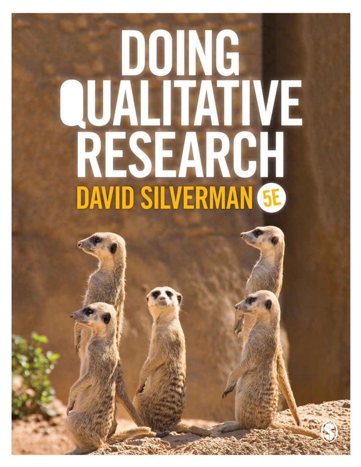Doing Qualitative Research David Silverman
