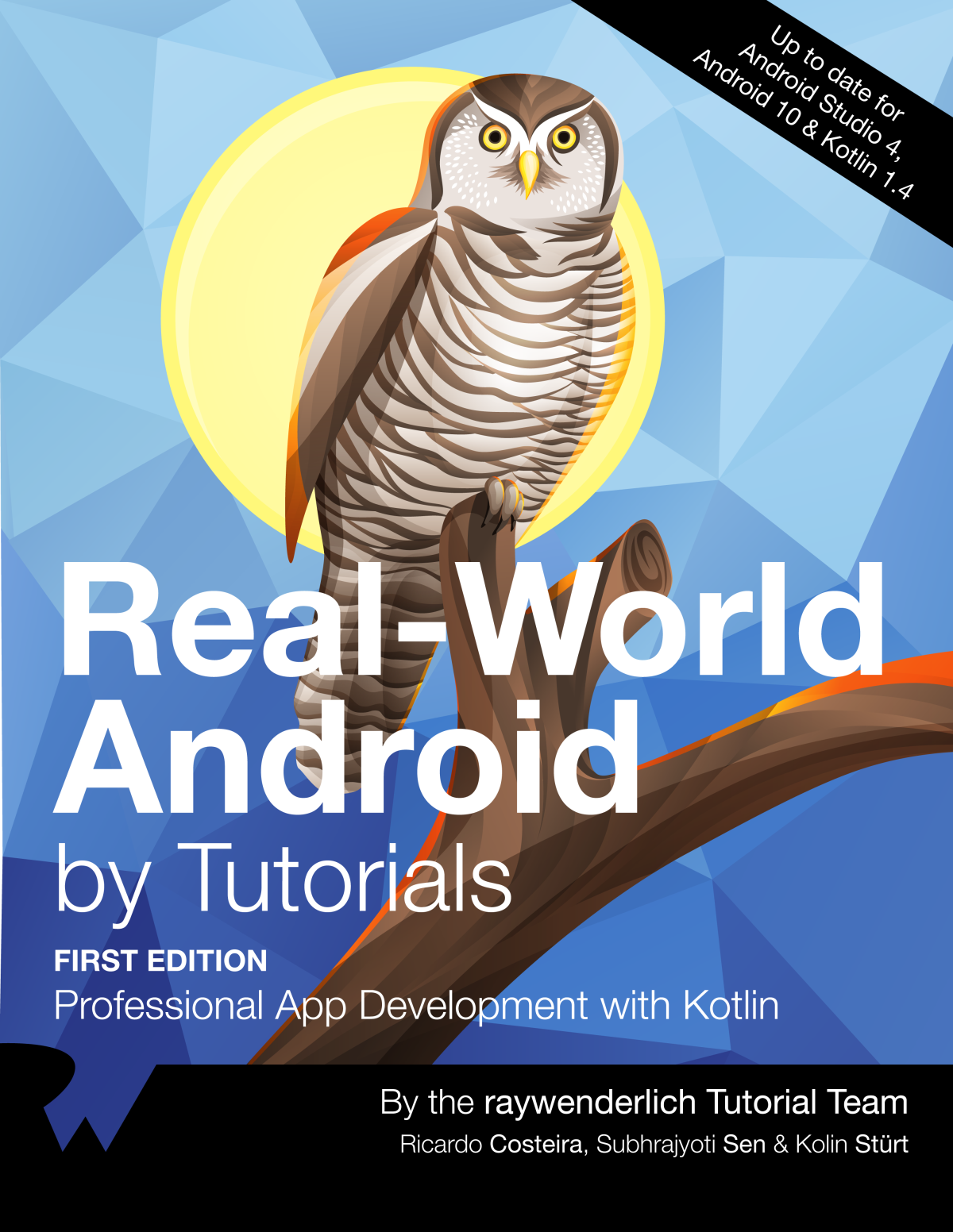 Realworld Android By Tutorials 1st Edition Ricardo Costeira
