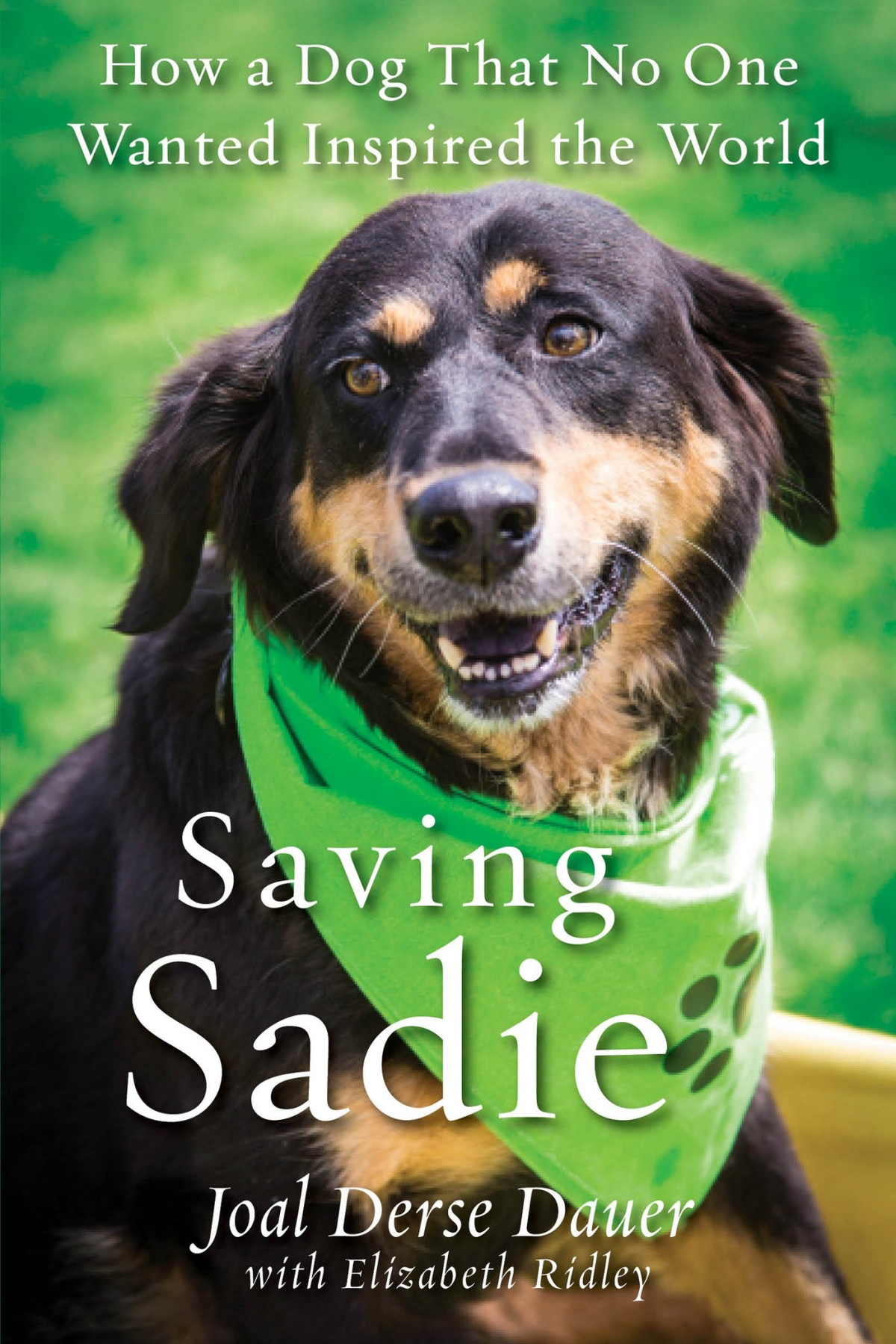 Saving Sadie How A Dog That No One Wanted Inspired The World Illustrated Dauer
