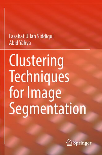 Clustering Techniques For Image Segmentation Fasahat Ullah Siddiqui