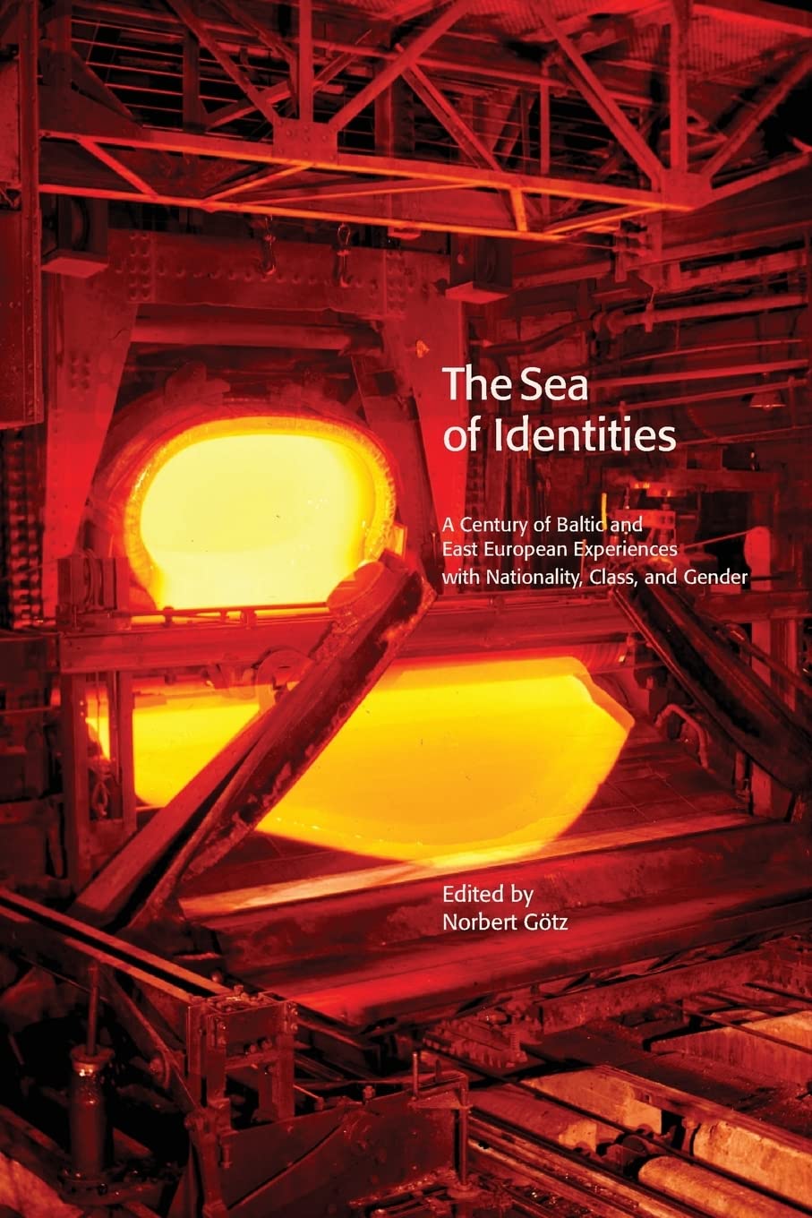 The Sea Of Identities A Century Of Baltic And East European Experiences With Nationality Class And Gender Print On Demand Ed Norbert Gtz