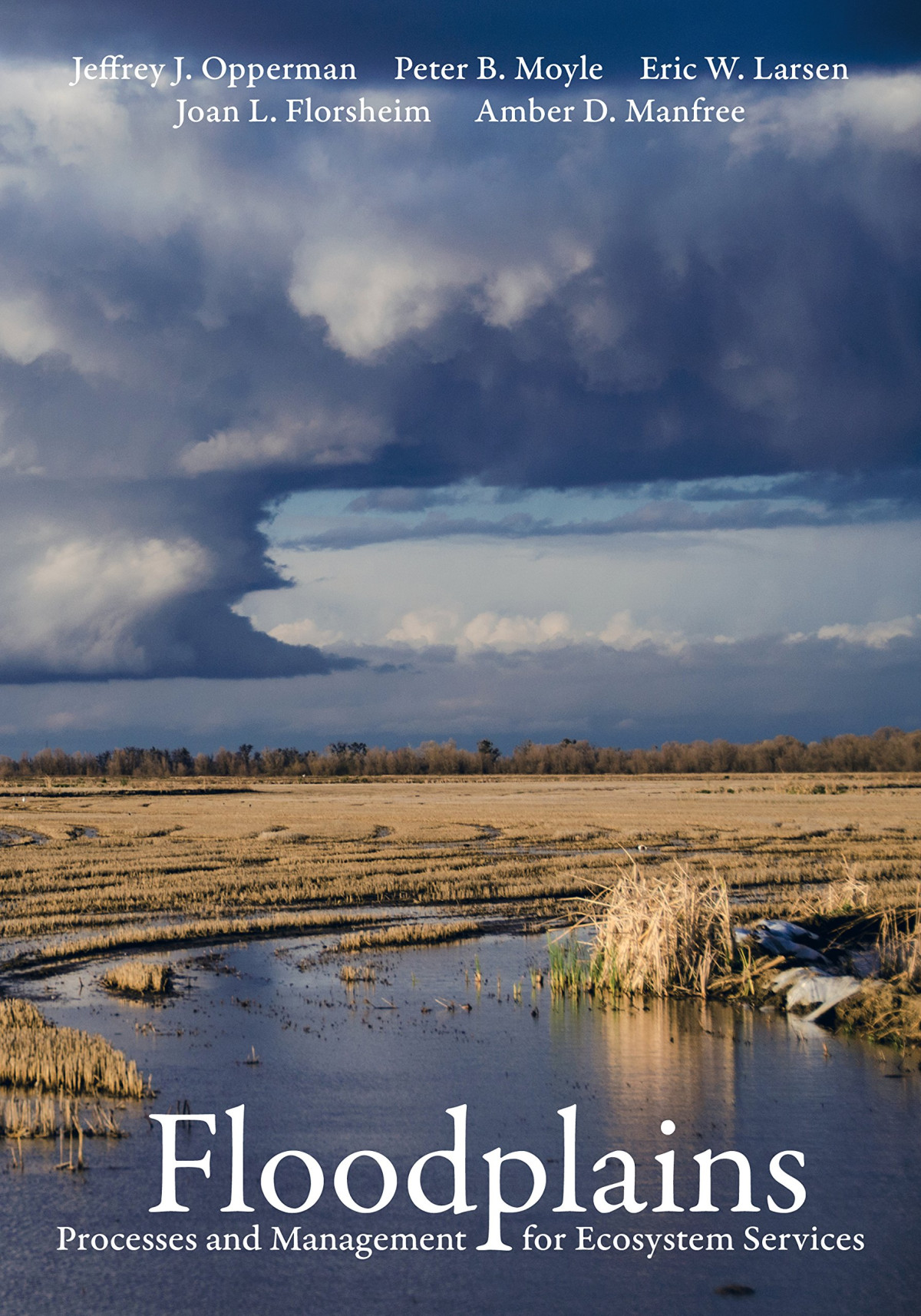 Floodplains Processes And Management For Ecosystem Services 1st Edition Jeffrey J Opperman