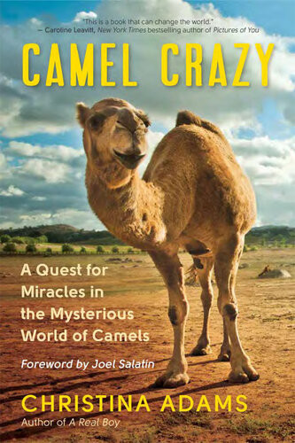 Camel Crazy Christina Adams