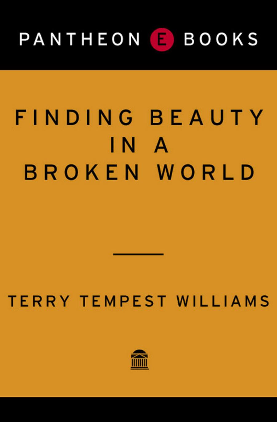 Finding Beauty In A Broken World Terry Tempest Williams
