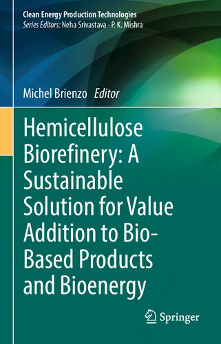 Hemicellulose Biorefinery A Sustainable Solution For Value Addition To Biobased Products And Bioenergy Michel Brienzo