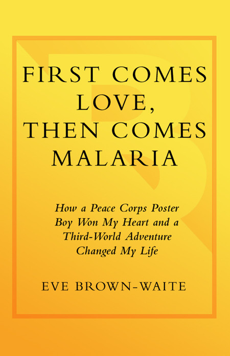 First Comes Love Then Comes Malaria Eve Brownwaite
