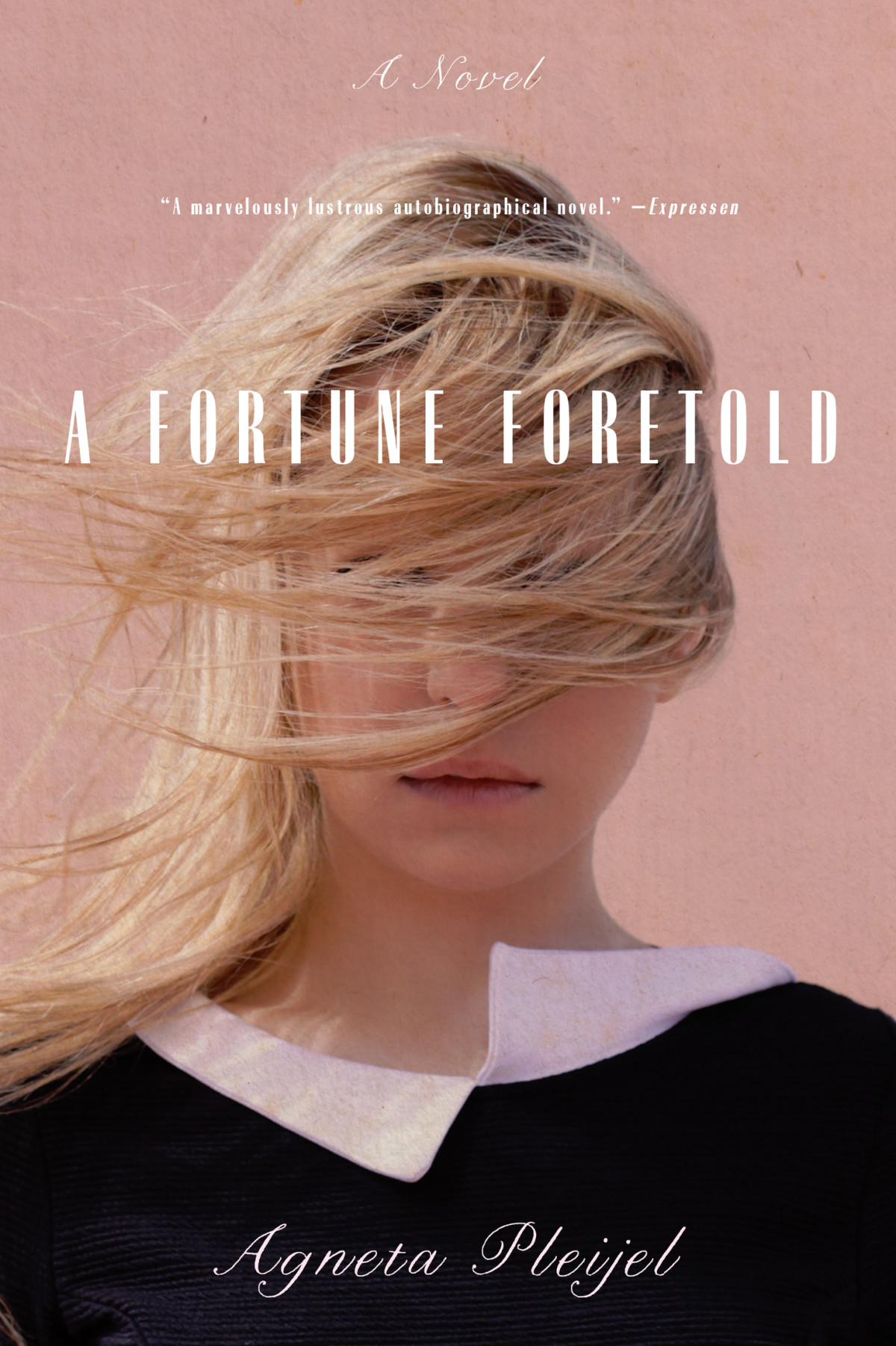A Fortune Foretold Agneta Pleijel