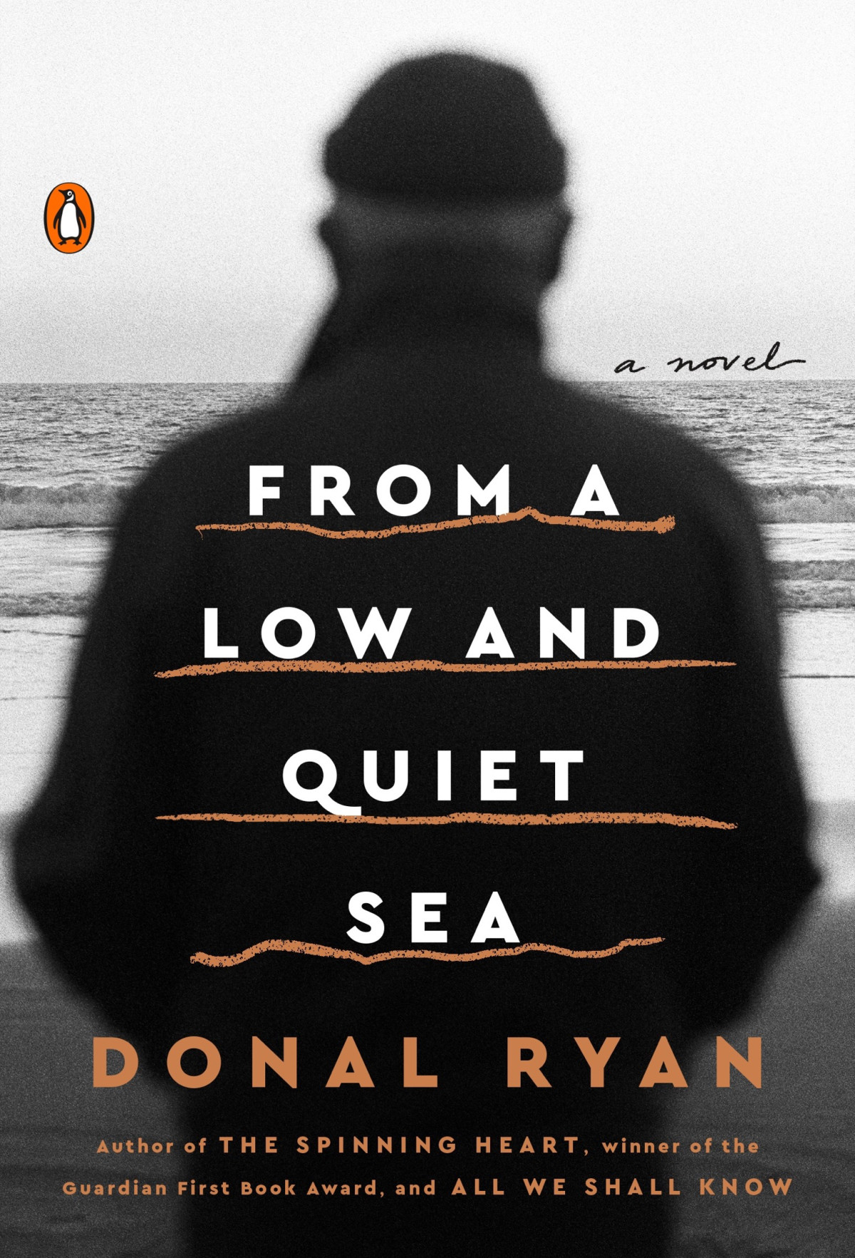 From A Low And Quiet Sea Donal Ryan