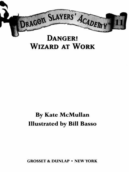 Danger Wizard At Work 11 Dragon Slayers Academy Kate Mcmullan
