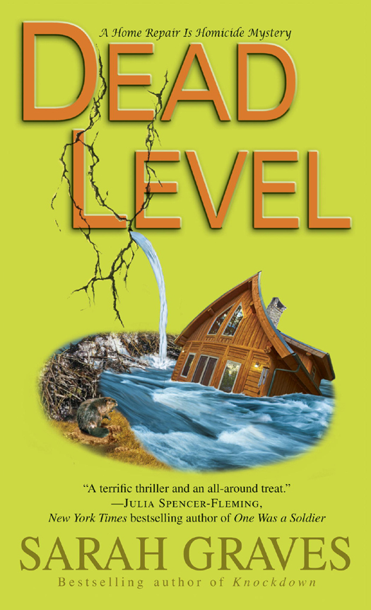Dead Level Home Repair Is Homicide Mystery 15 Sarah Graves