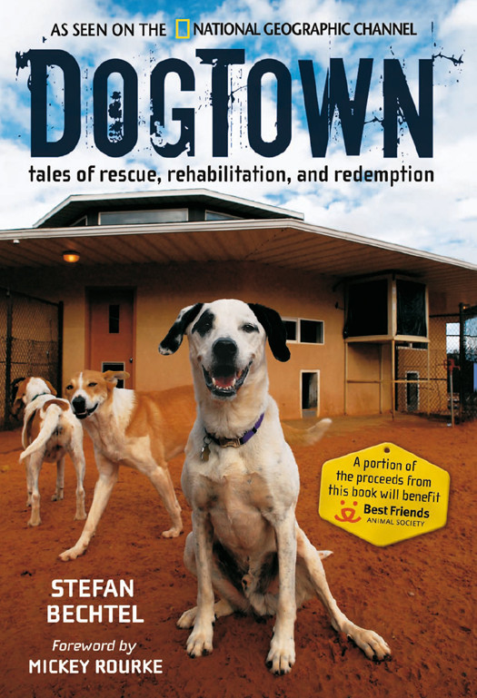 Dogtown Stefan Bechtel
