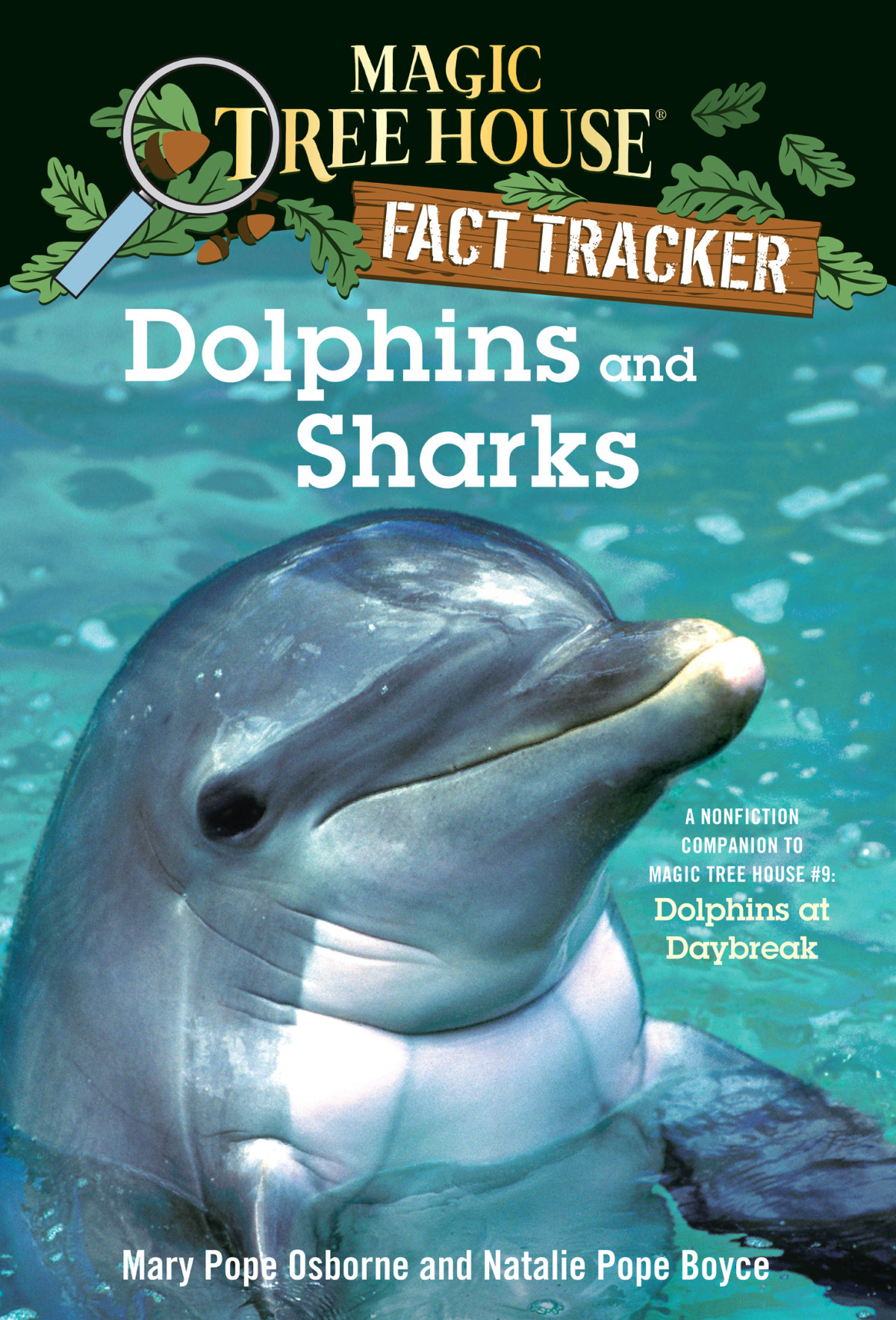 Dolphins And Sharks Mary Pope Osborne