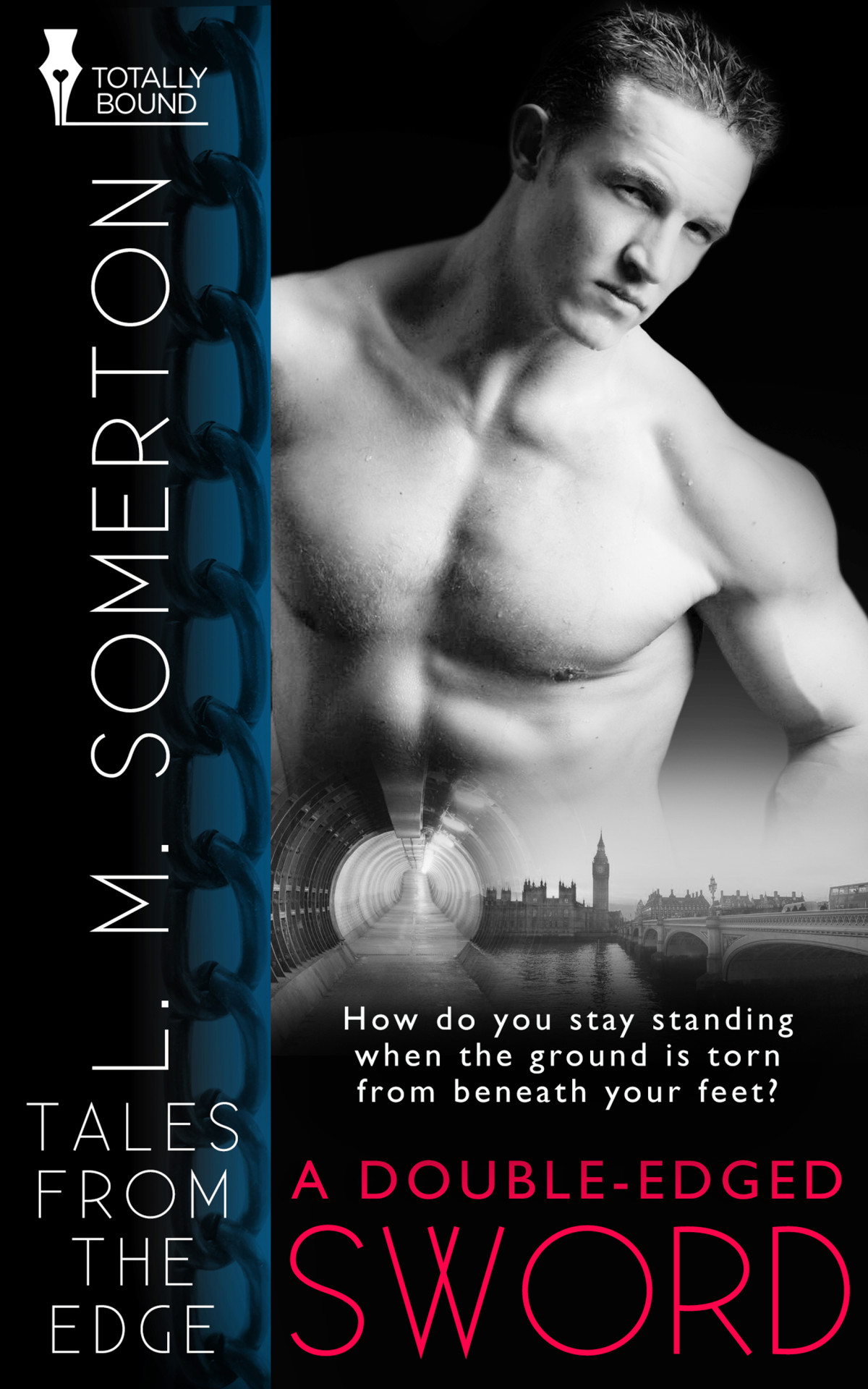 A Doubleedged Sword Lm Somerton
