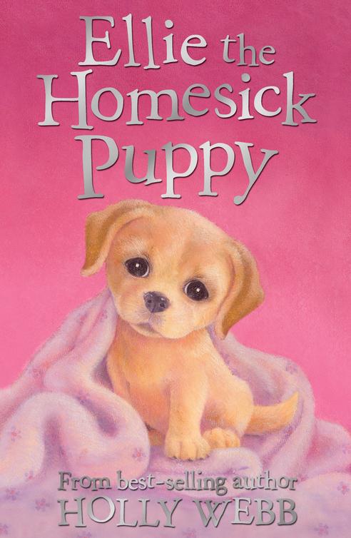 Ellie The Homesick Puppy Holly Webb