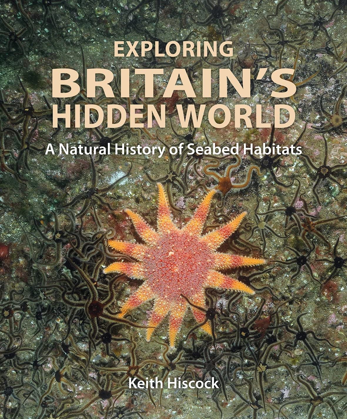 Exploring Britains Hidden World A Natural History Of Seabed Habitats Wild Nature Press 10 Keith Hiscock