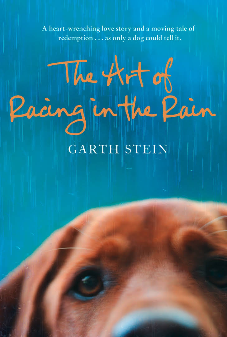 The Art Of Racing In The Rain Garth Stein