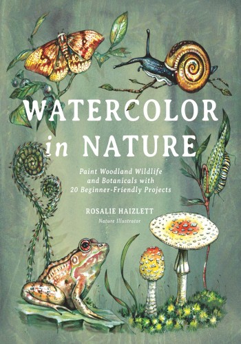 Watercolor In Nature Rosalie Haizlett