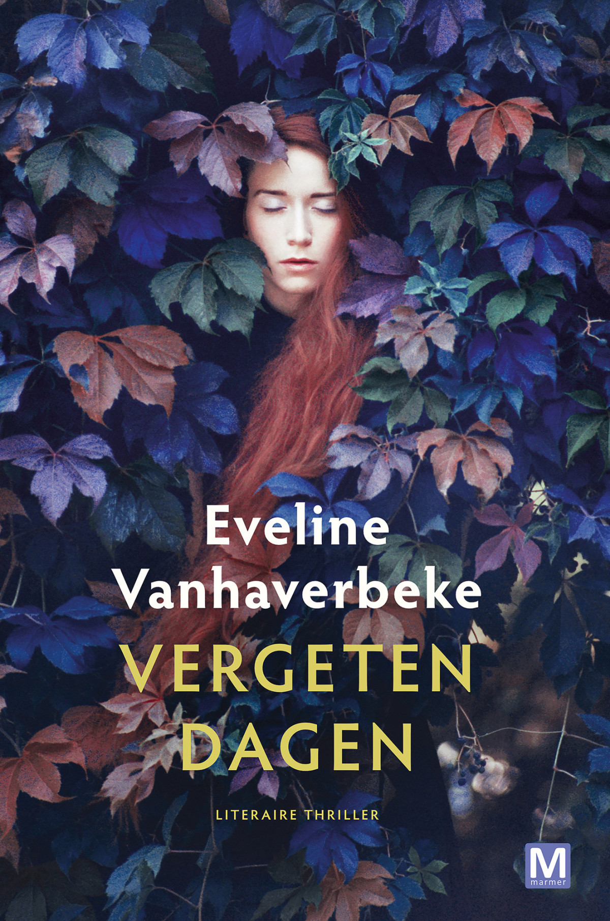 Vergeten Dagen Eveline Vanhaverbeke