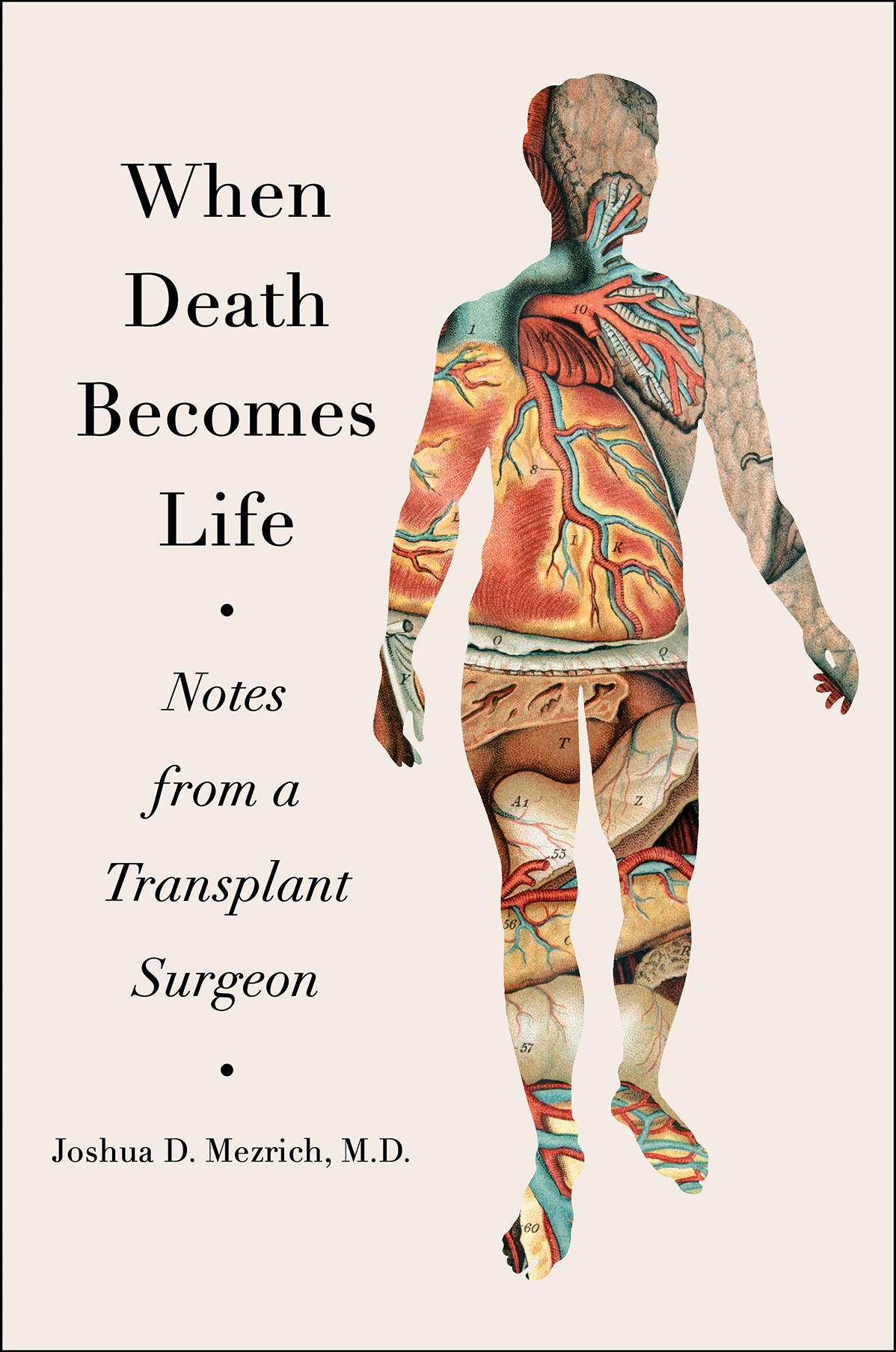 When Death Becomes Life Joshua D Mezrich