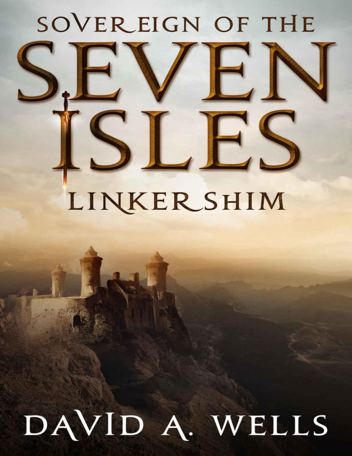 Linkershim David A Wells