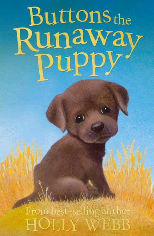 Buttons The Runaway Puppy Holly Webb