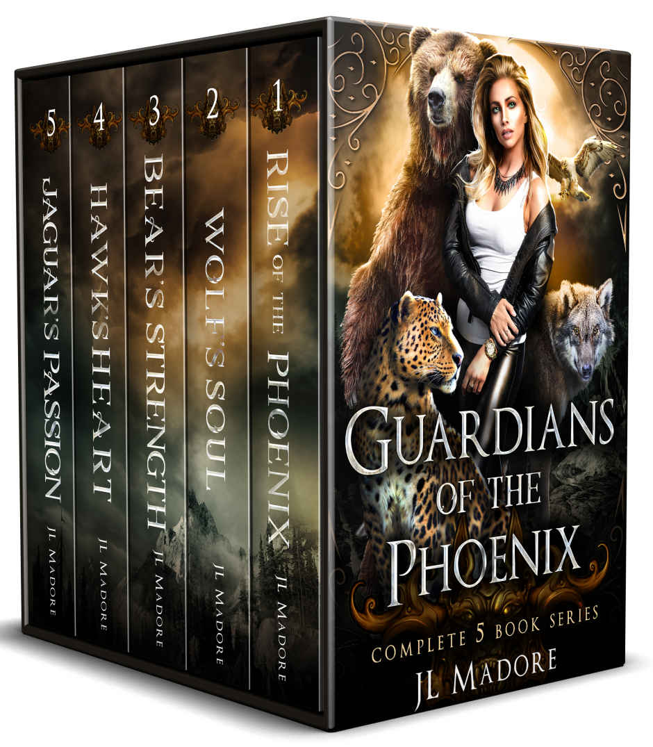 Guardians Of The Phoenix Box Set Books 15 Guardians Of The Fae Realms Jl Madore
