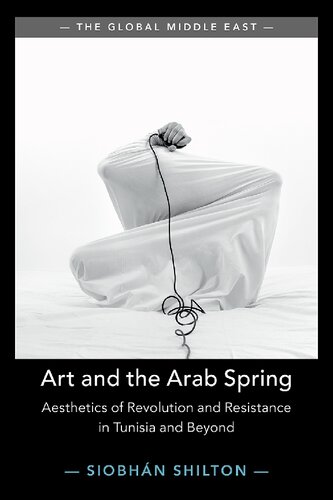 Art And The Arab Spring Aesthetics Of Revolution And Resistance In Tunisia And Beyond Siobhan Shilton