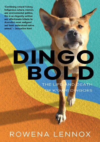 Dingo Bold The Life And Death Of Kgari Dingoes Rowena Lennox