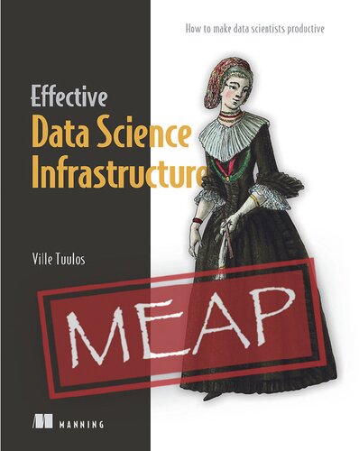 Effective Data Science Infrastructure Meap Version 7 Meap Edition Ville Tuulos
