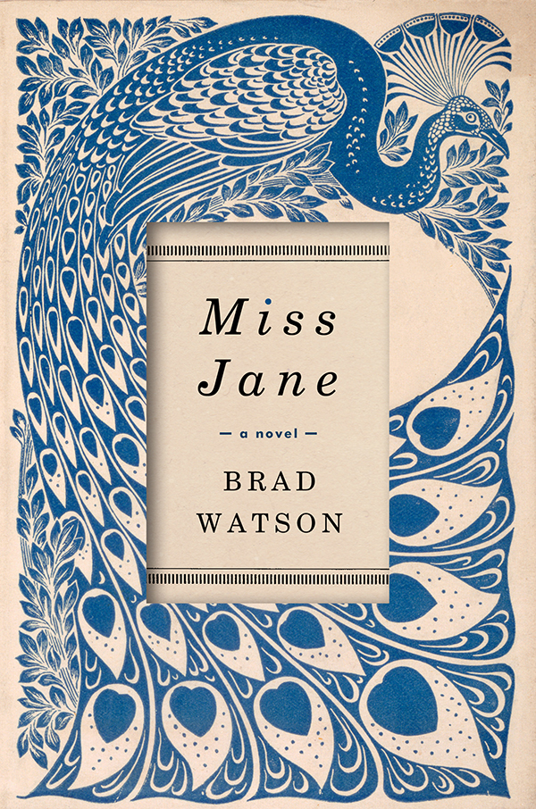 Miss Jane A Novel Brad Watson