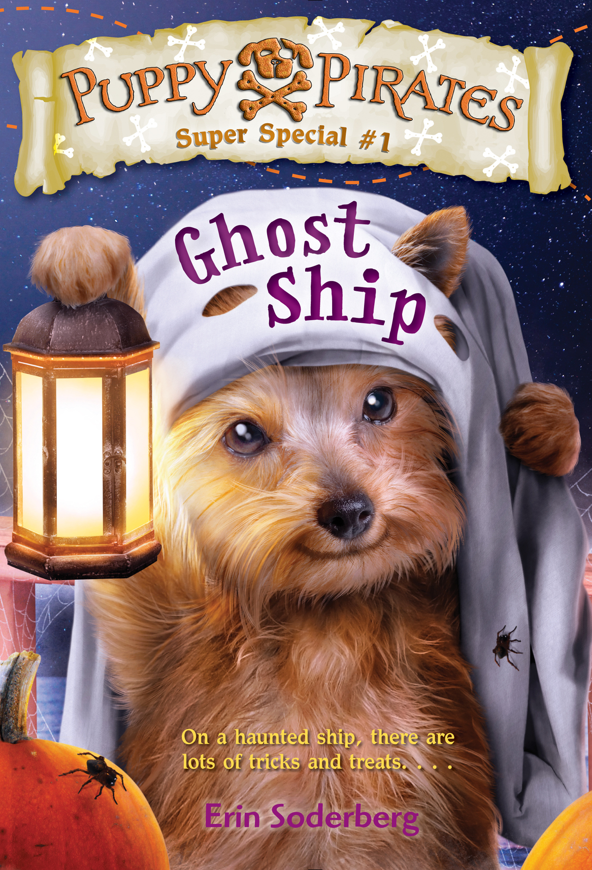 Ghost Ship Erin Soderberg