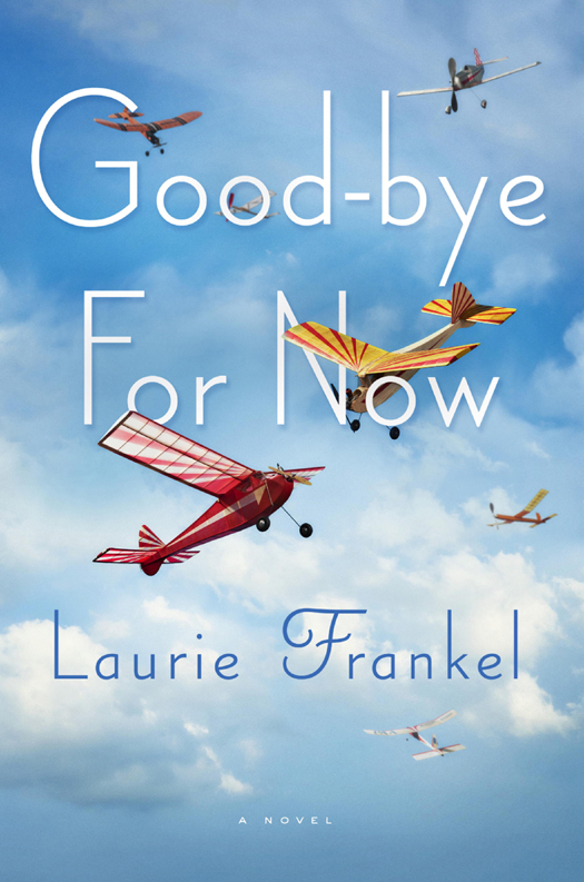 Goodbye For Now Laurie Frankel