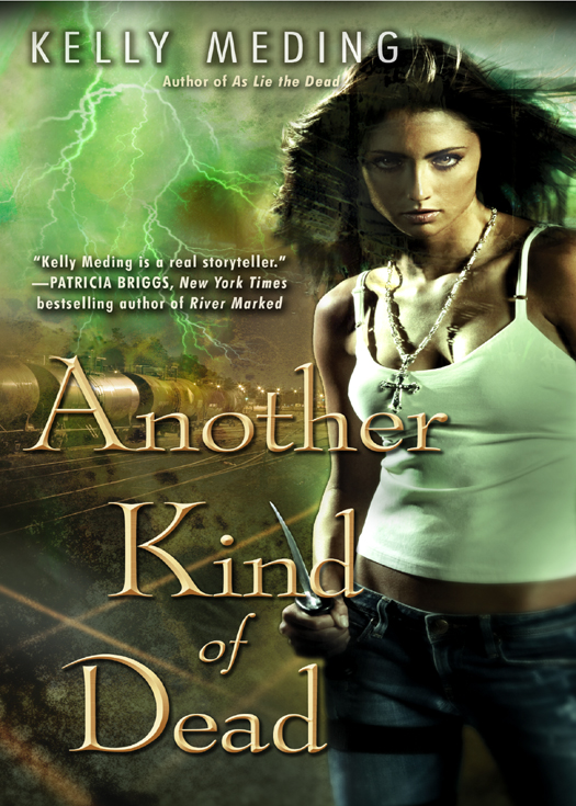 Another Kind Of Dead Kelly Meding