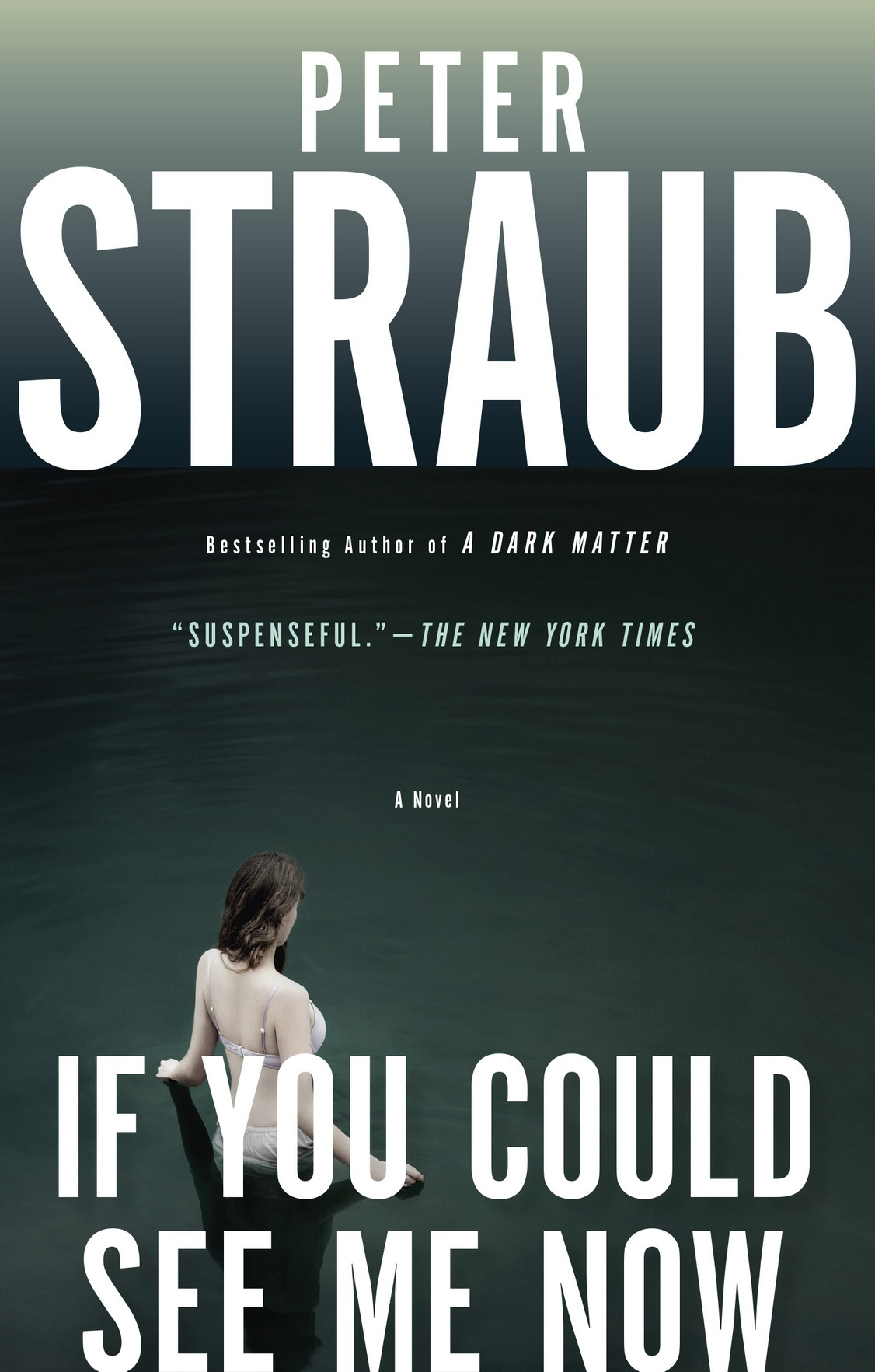 If You Could See Me Now Peter Straub