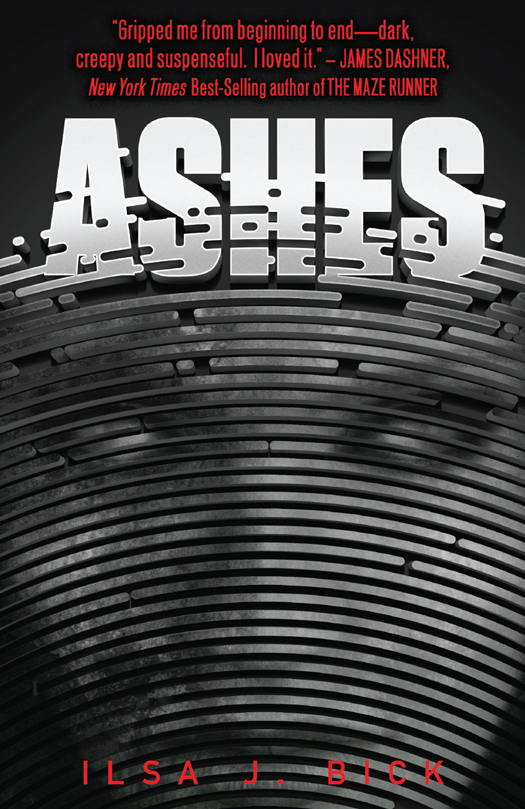 Ashes Ilsa J Bick