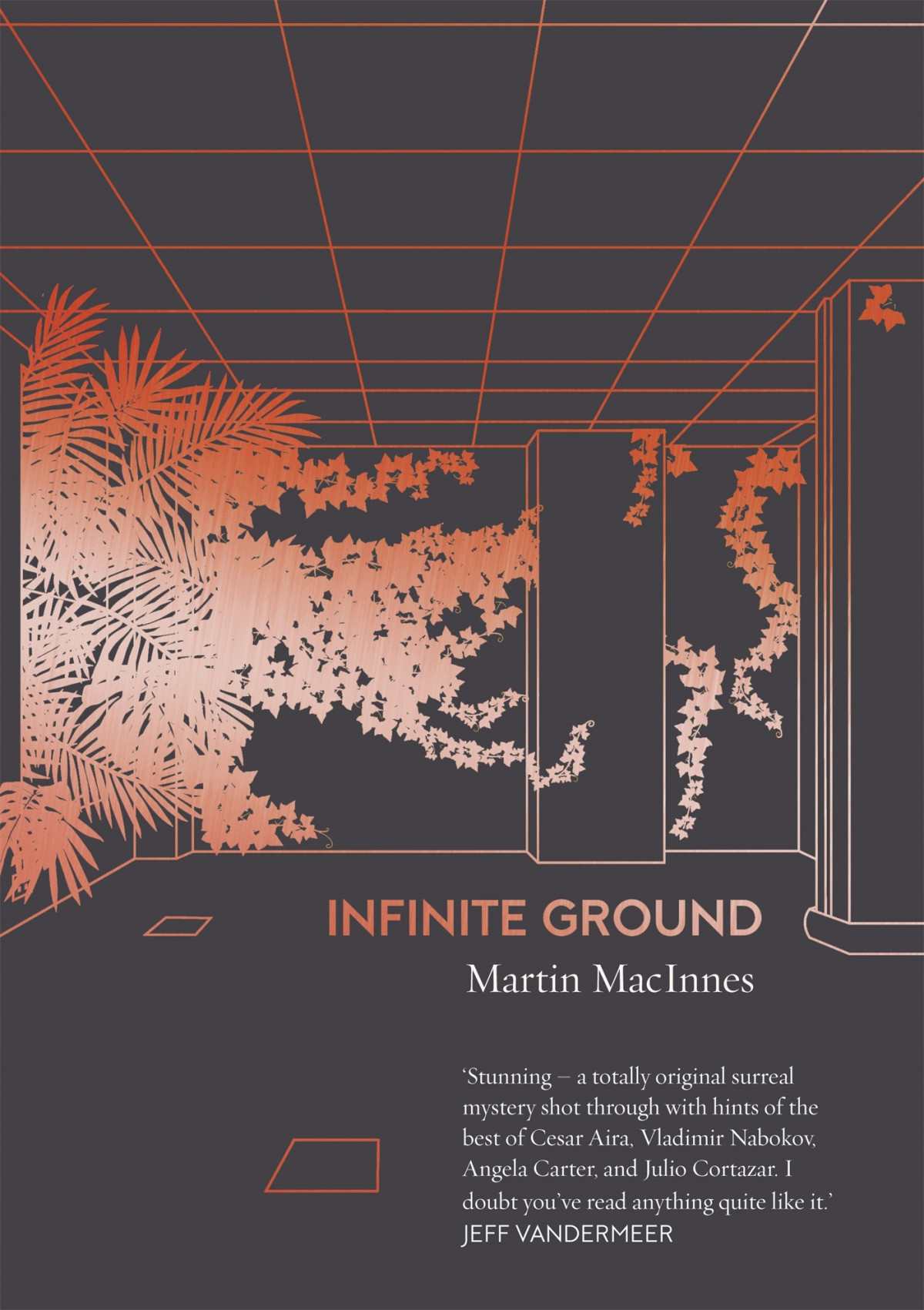 Infinite Ground Martin Macinnes
