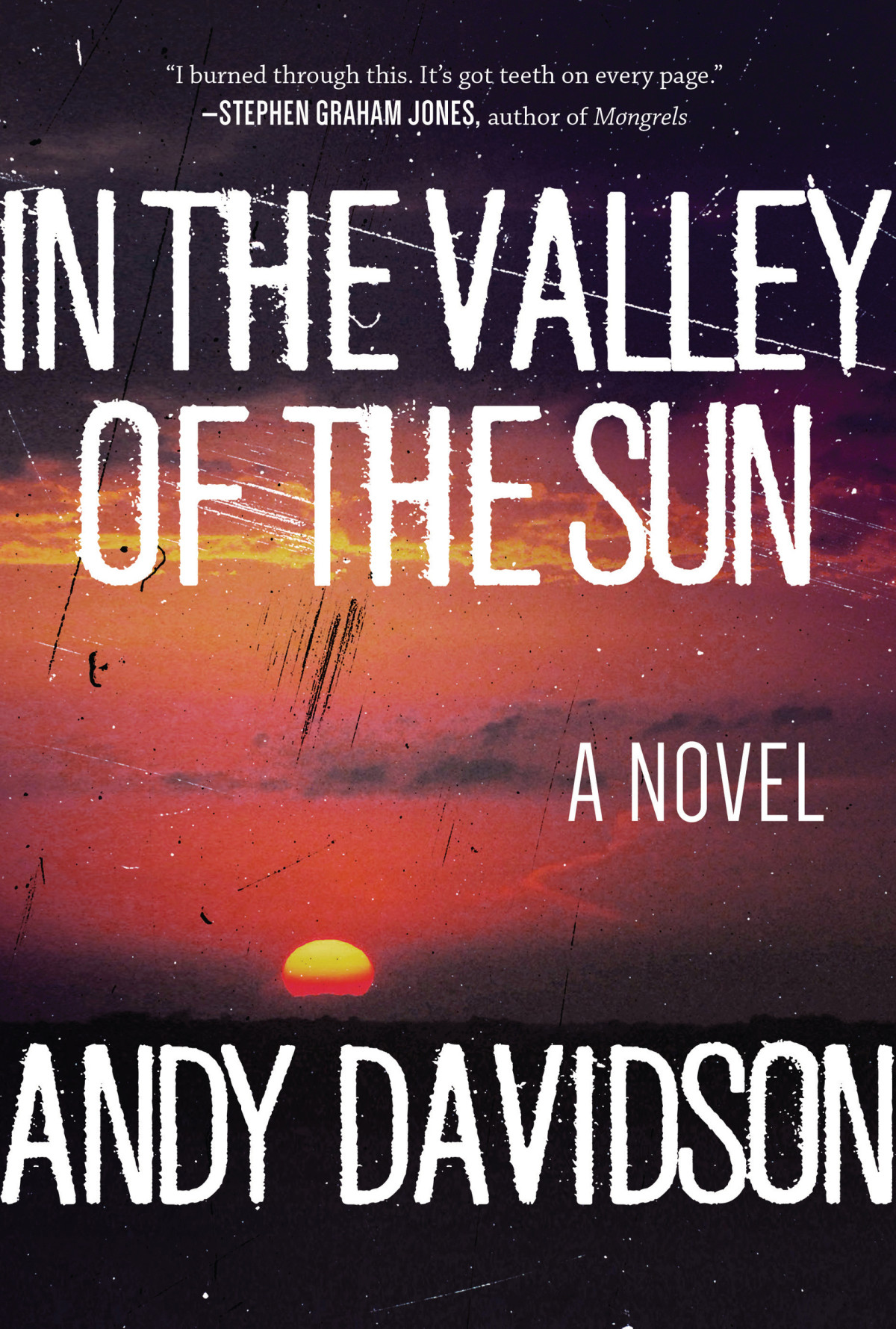 In The Valley Of The Sun Andy Davidson