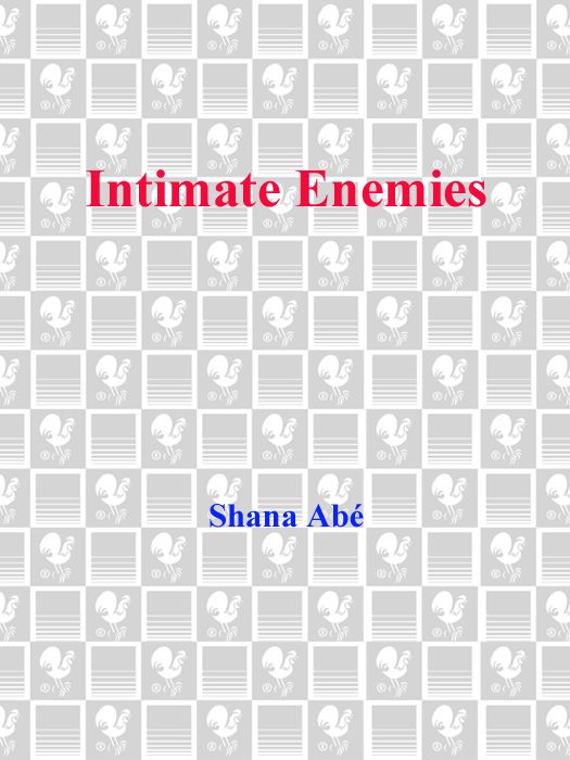 Intimate Enemies A Novel Shana Abe