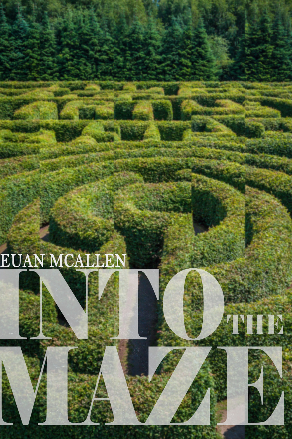 Into The Maze Euan Mcallen