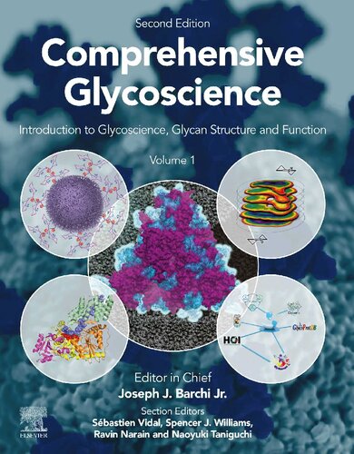Comprehensive Glycoscience From Chemistry To Systems Biology 2nd Edition Joseph Barchi Editor