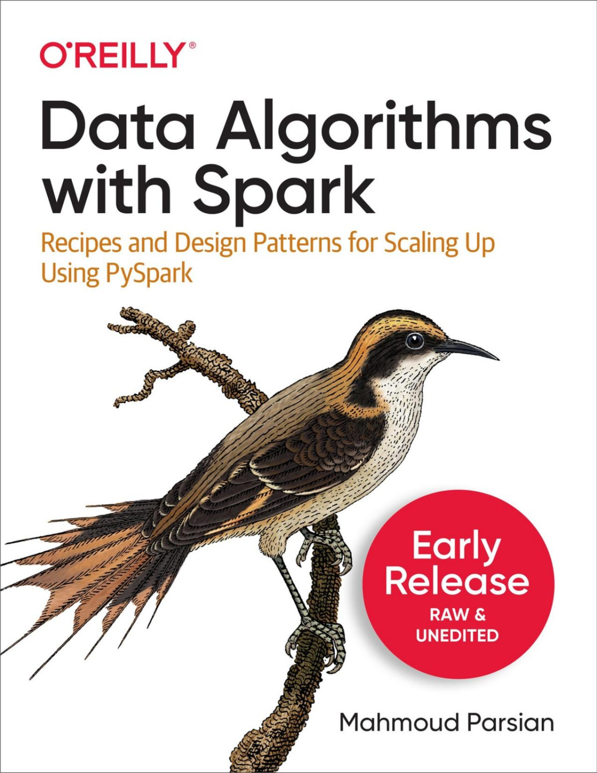 Data Algorithms With Spark Sixth Early Release Mahmoud Parsian