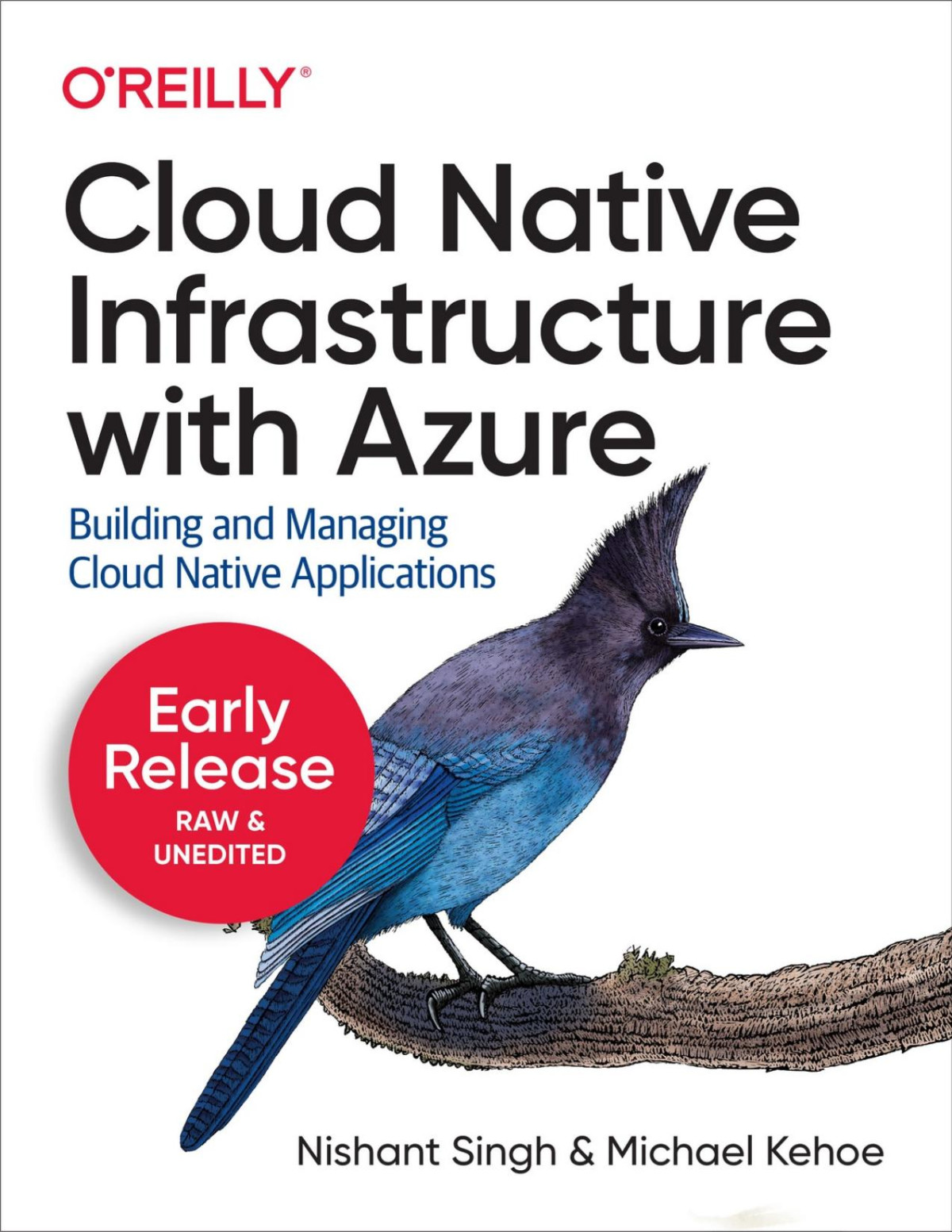 Cloud Native Infrastructure With Azure Second Early Release Nishant Singh Michael Kehoe