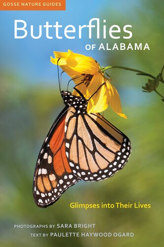 Butterflies Of Alabama Glimpses Into Their Lives Paulette Haywood Ogard