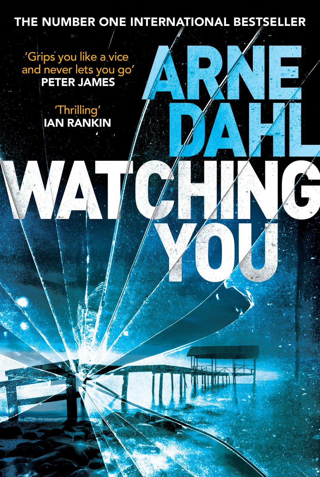 Watching You Arne Dahl