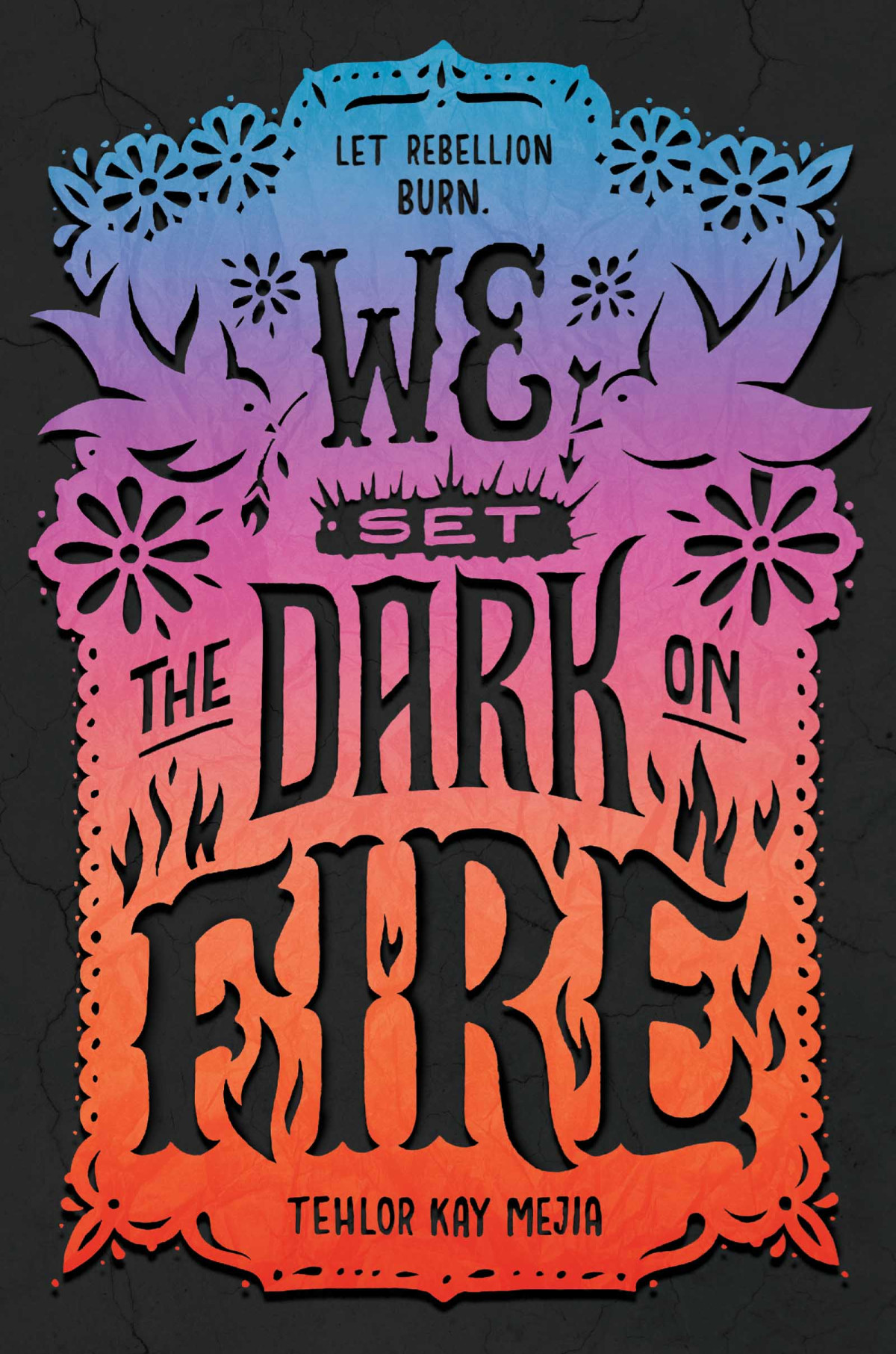 We Set The Dark On Fire Tehlor Kay Mejia