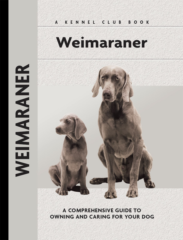 Weimaraner Lavonia Harper